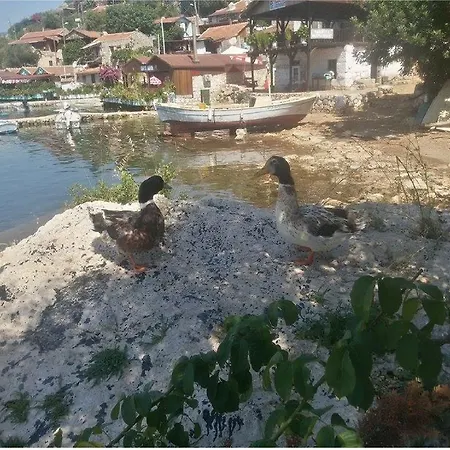 Sahil Pensionat Kaleucagız